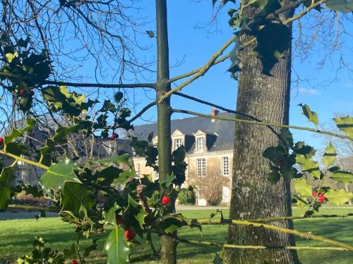 Domitille in Avrille, France