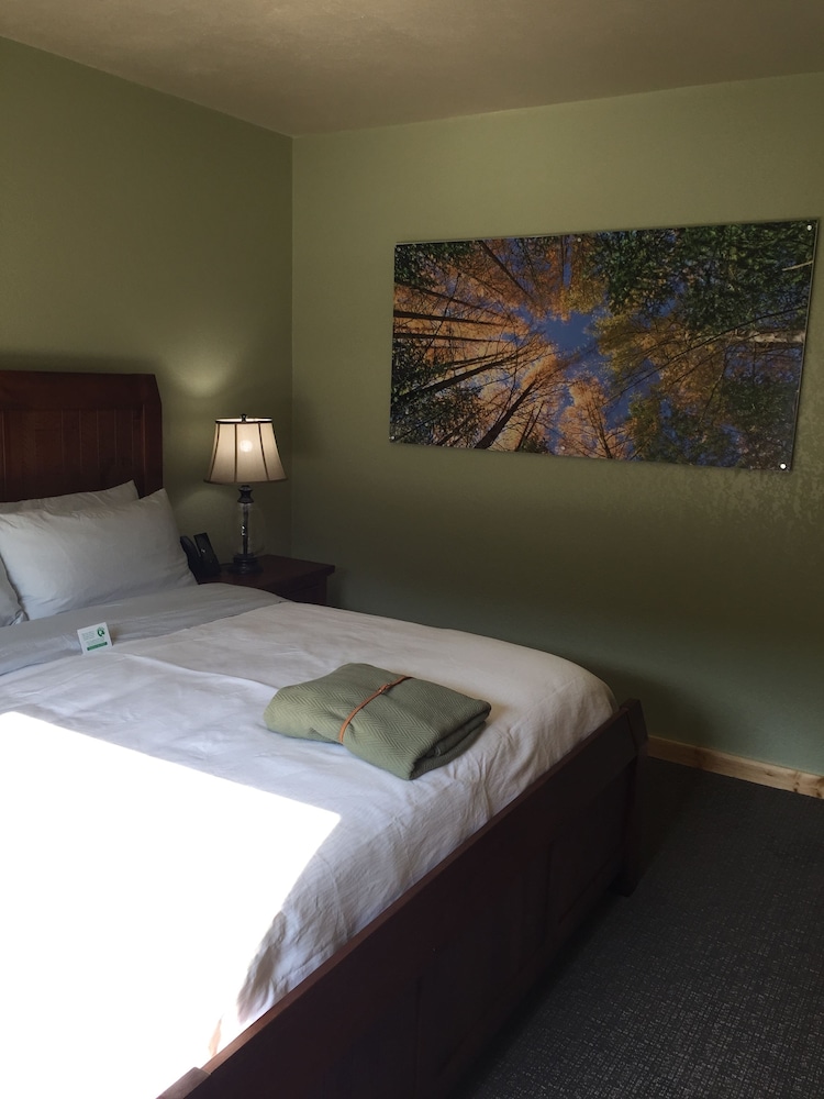 Roam Inn - photo 6