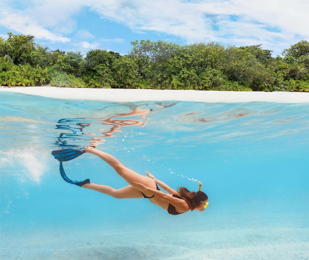 Surfing/boogie boarding