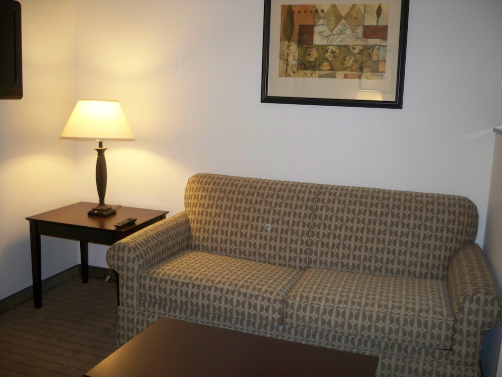 Holiday Inn Express & Suites Omaha I 80 by IHG - photo 9