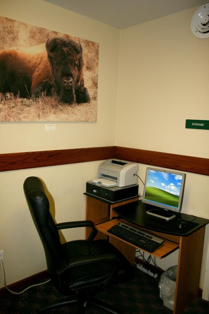 Yellowstone Lodge - photo 28