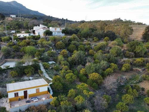 Finca Martina — Casarabonela — photo 4