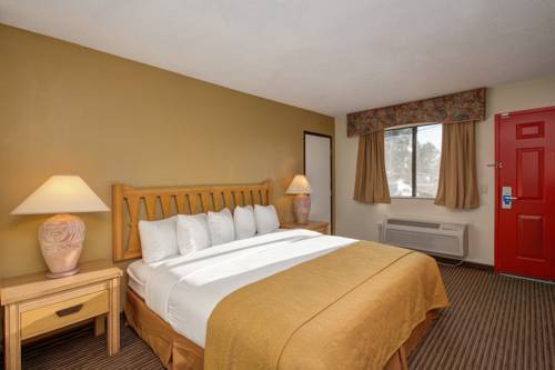 Rodeway Inn Near Arizona State University - photo 9