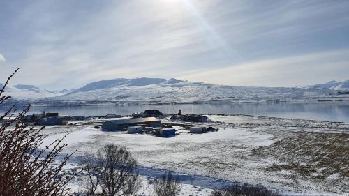 North Inn Guesthouse and Cabin