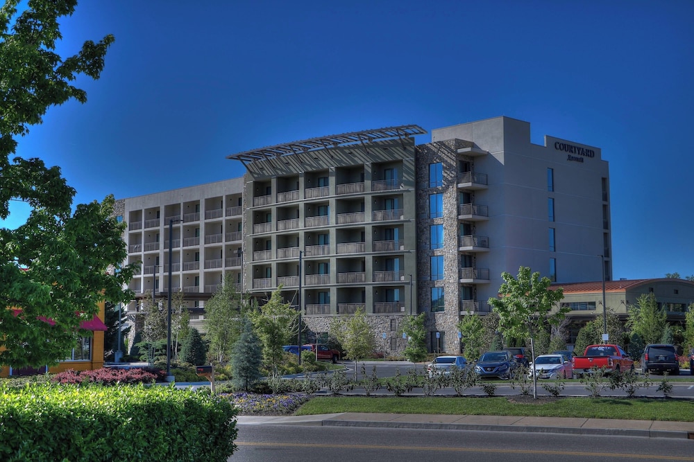 Courtyard by Marriott Pigeon Forge - photo 160