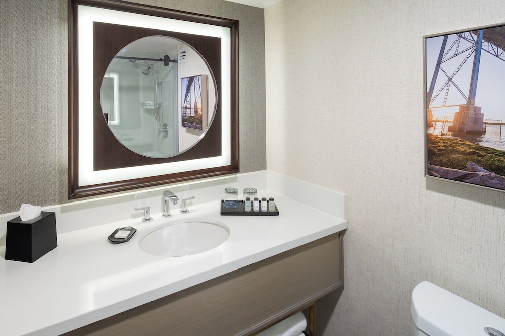 Sheraton Detroit Novi Hotel - photo 12