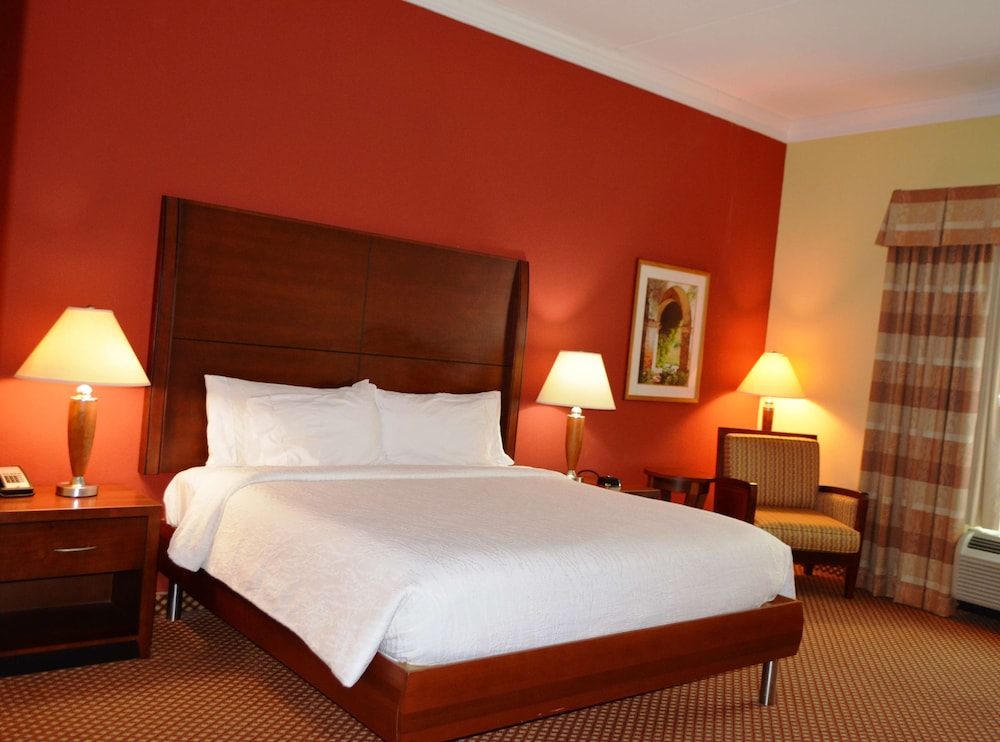 Hilton Garden Inn Houston West Katy - photo 18