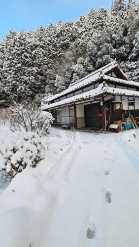 Sazanami — Hagi