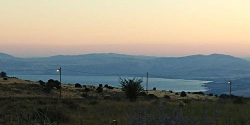 Two Snales - last minute hotel in Unknown City