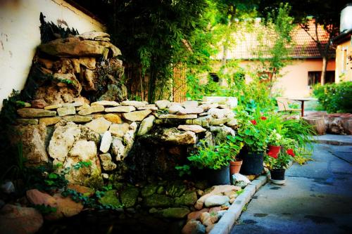 Florian Hostel — Jozsefvaros — photo 5
