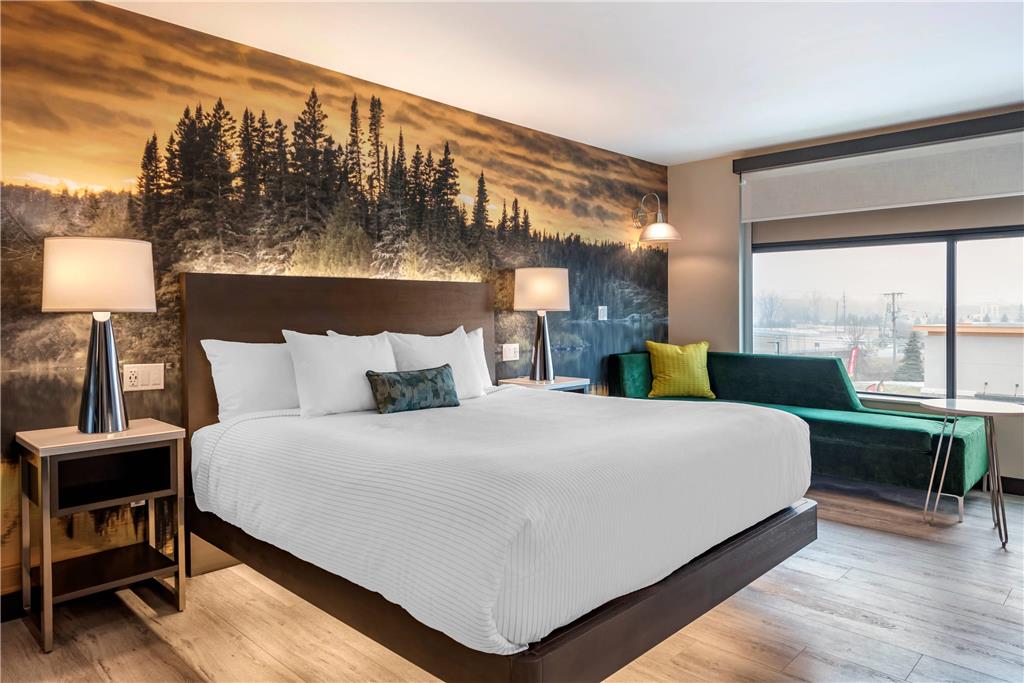 Cambria Hotel Shelby Township Detroit Utica - carbon neutral hotel in Utica
