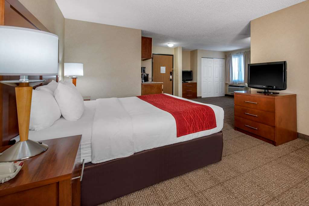 Comfort Inn Denver Southeast Area - photo 11