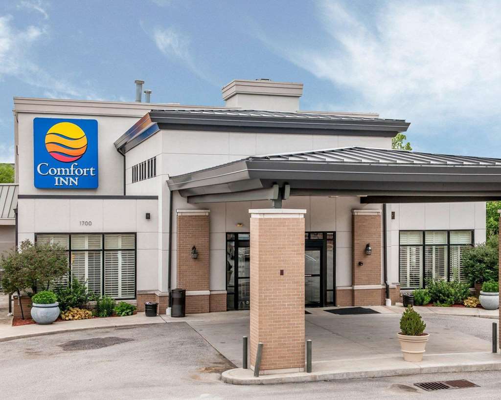 Comfort Inn Bloomington near University - featured photo