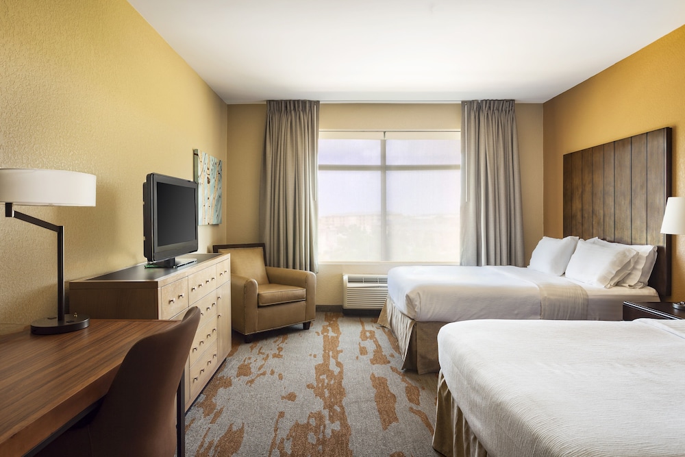 Holiday Inn San Antonio Seaworld by IHG - photo 12