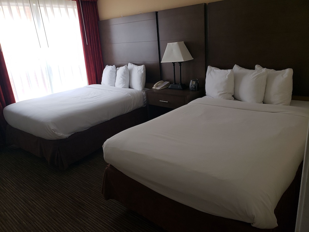 Affordable Suites of America Detroit Warren - photo 2