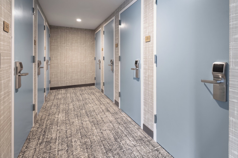 Staybridge Suites Rehoboth Beach by IHG - photo 49