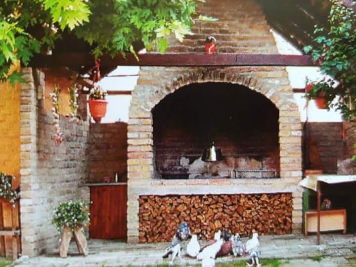 Apartman Kalinka — hotel in Draz