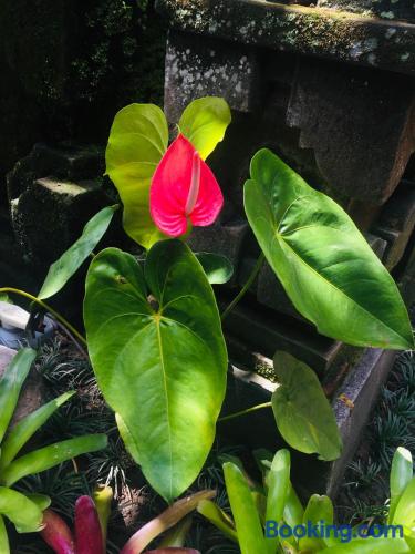 Tungeh Inn — Ubud — photo 3