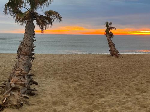 Maisonnette a 200m de la Plage Terrasse Clim Parking Prive Lave Linge Et Linge de Lit Compris in Le Barcares, France