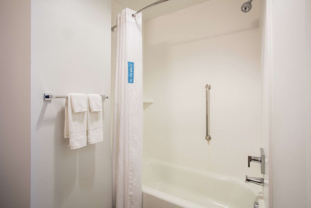 Hampton Inn & Suites Denver Downtown - photo 39