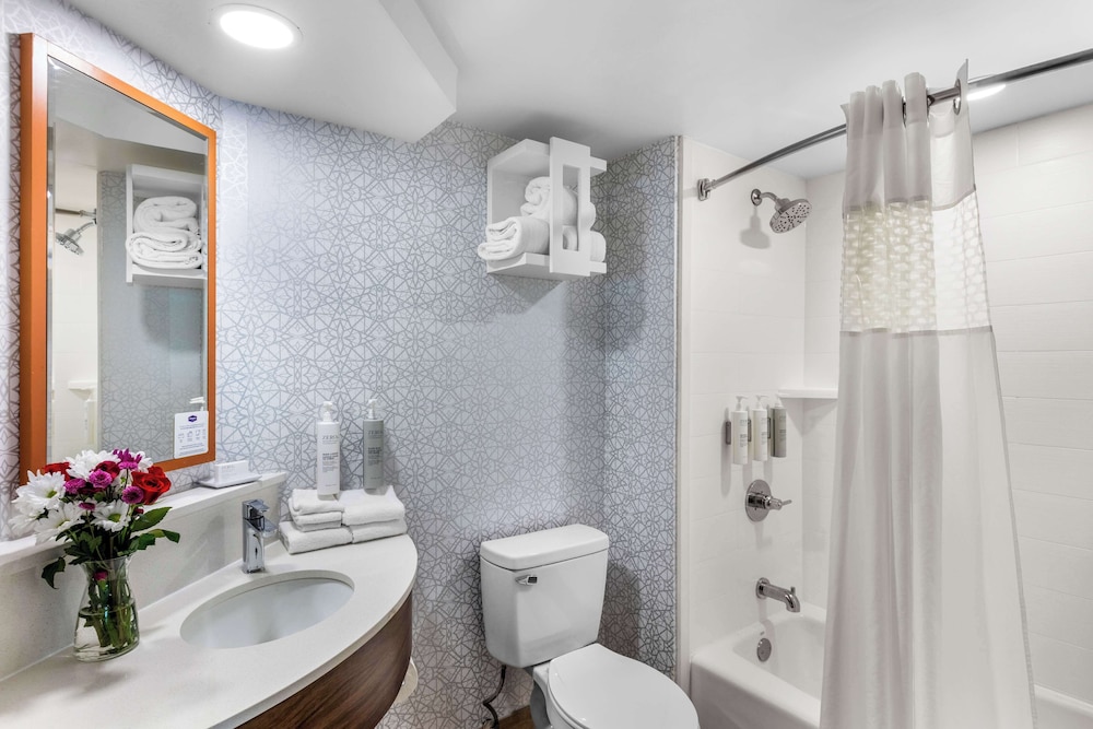 Hampton Inn Knoxville Airport - photo 15