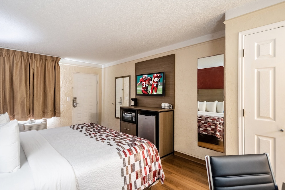 Red Roof Inn Tampa Bay St Petersburg - photo 9