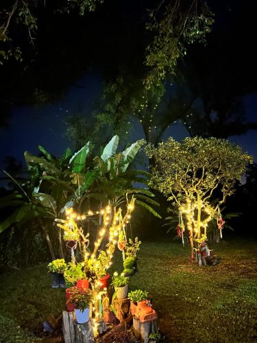 finca Encanto — Guarne — photo 5