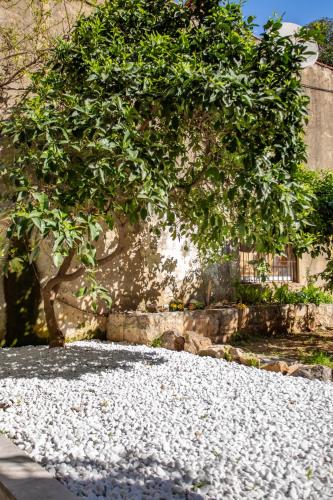 Anchi Guesthouse