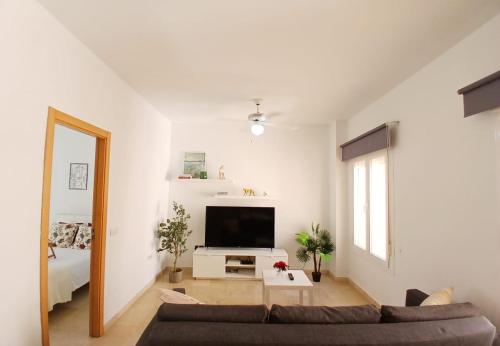 Malagasunapts City Centre Sharedterrace — 4-Star Luxury Hotel in Malaga, Spain