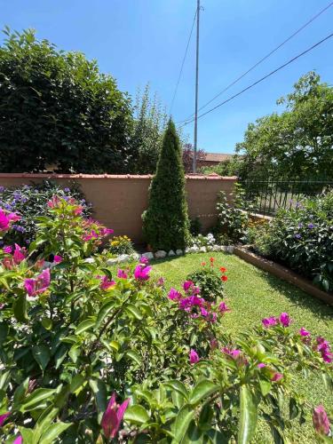 Villa Alexander — 4-Star Luxury Hotel in Nea Vrasna, Greece