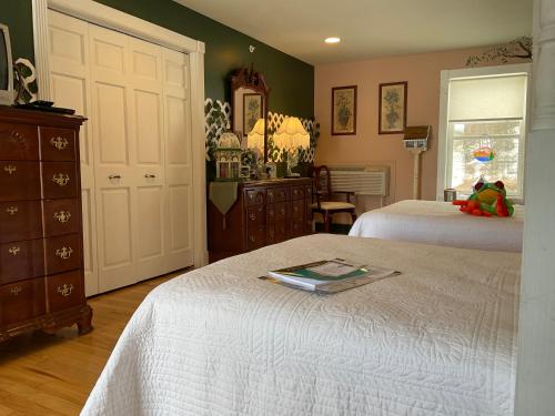 Mountain Quest Inn - photo 68