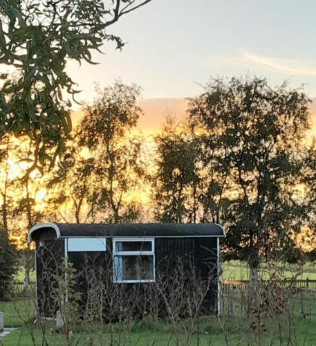 protte Wille - carbon neutral hotel in Scherpenzeel