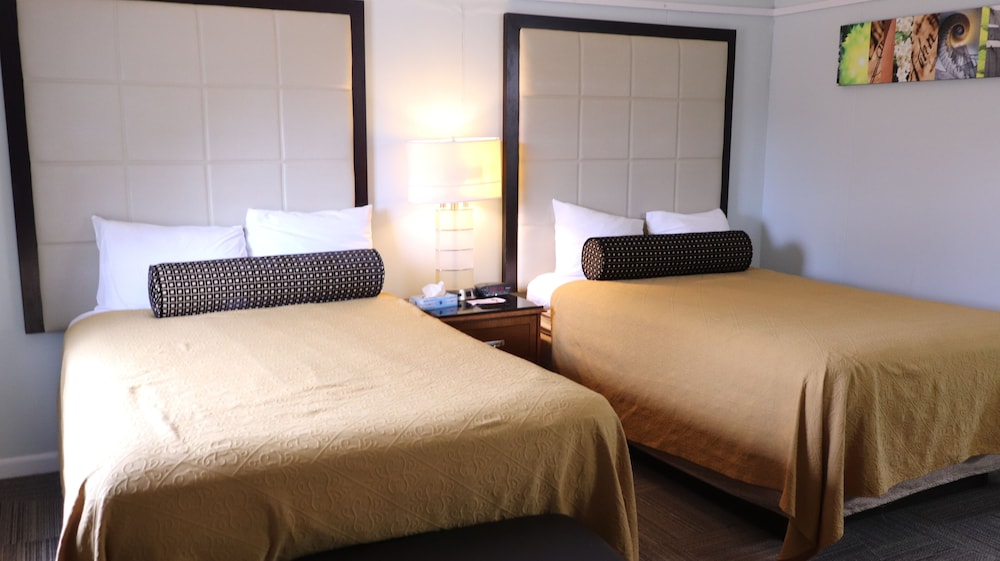 Copper Lantern Motor Lodge - photo 15