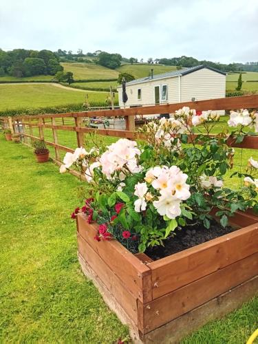 Rose Corner — 4-Star Luxury Hotel in Axminster, United Kingdom