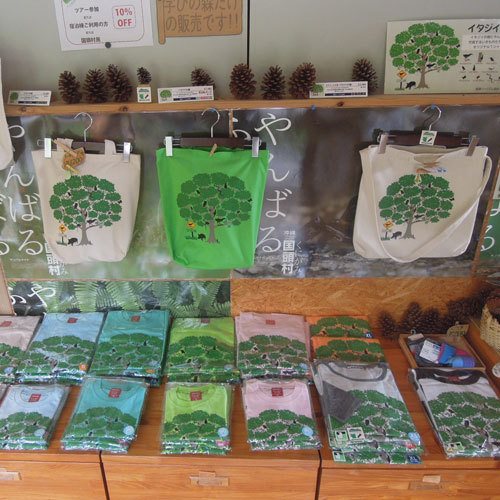 Yanbaru Discovery Forest - last minute hotel in Okinawa