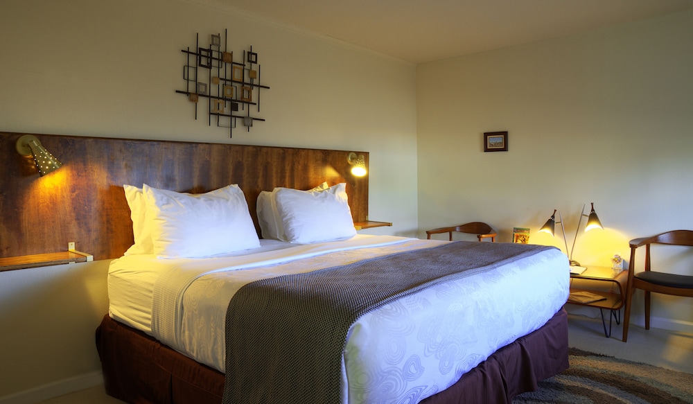 Roadrunner Lodge - photo 16