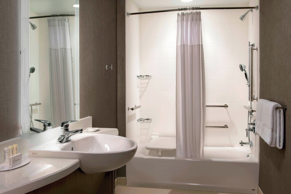 SpringHill Suites by Marriott Tampa Suncoast Parkway - photo 8