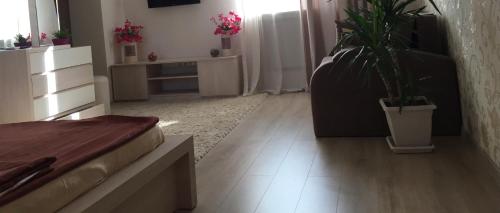 City Center Apartment