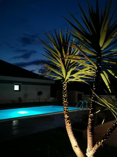 Visnjeva Gardens in Podgorica, Montenegro