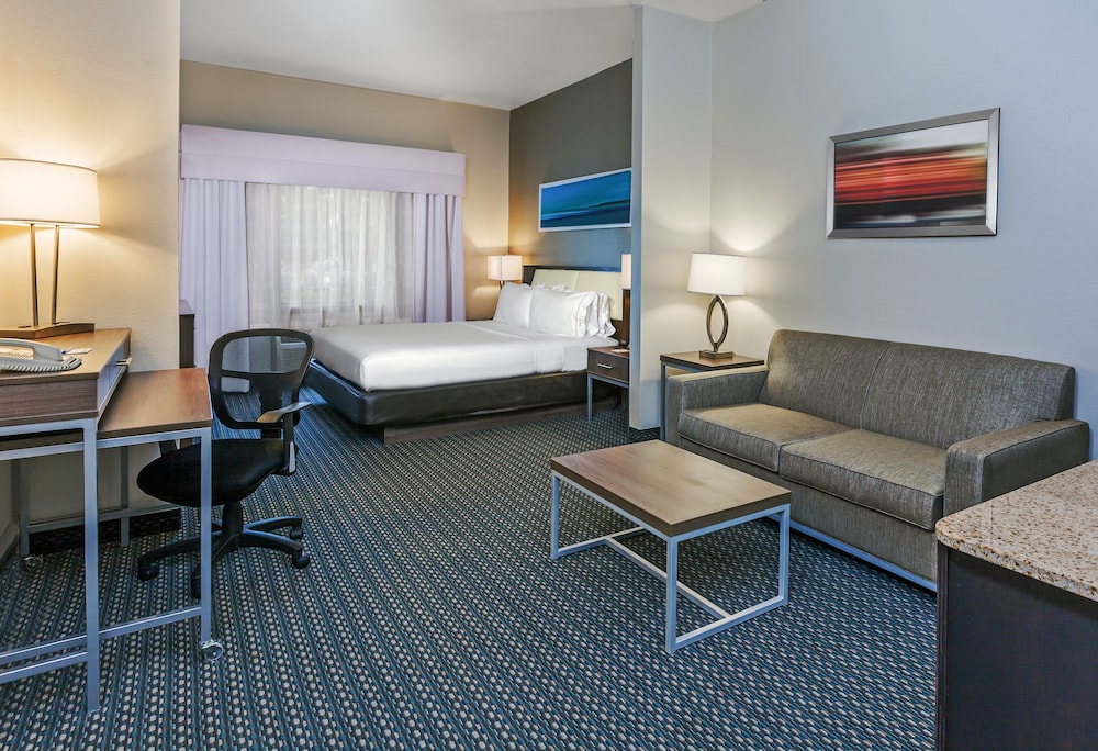 Holiday Inn Express Hotel & Suites Pharr by IHG - photo 10