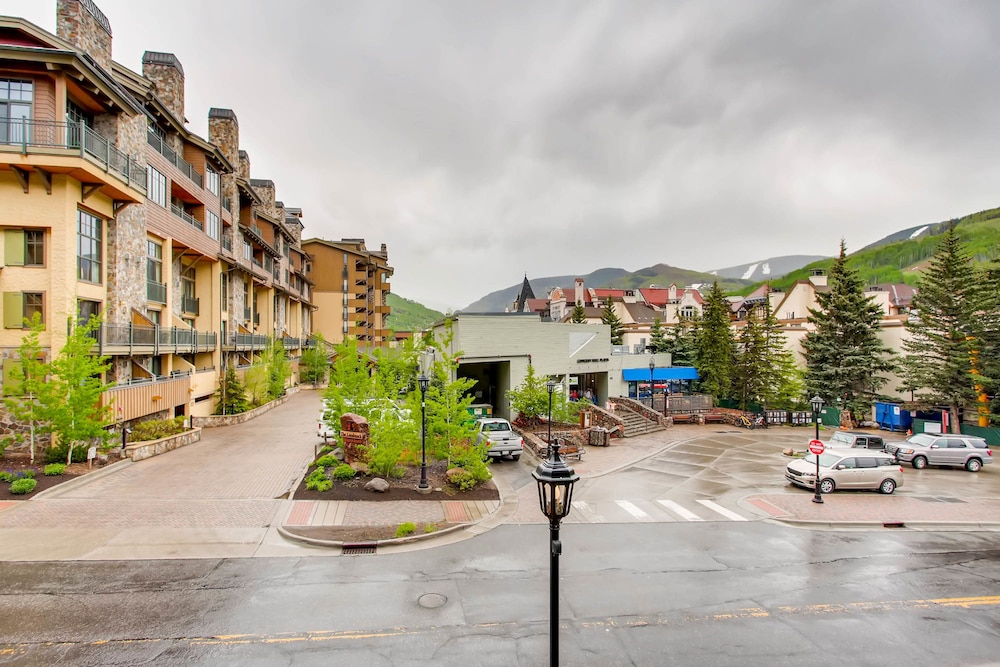 The Lion - photo 69