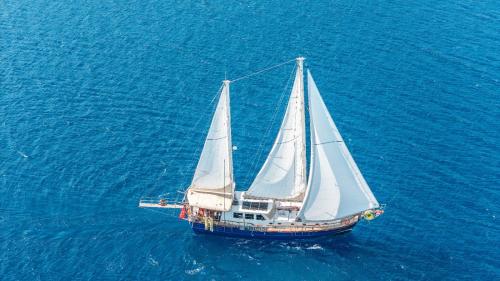Giulietta - carbon neutral hotel in Bodrum