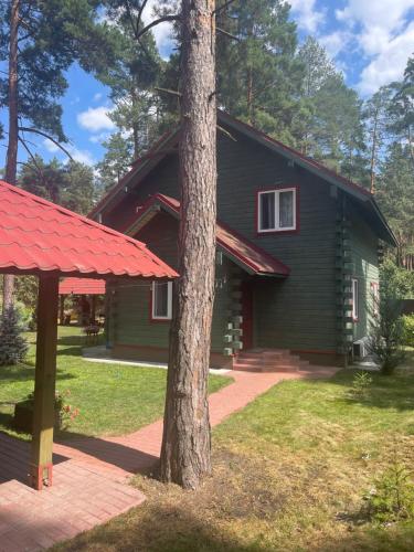 Greenhousevip in Dymer, Ukraine