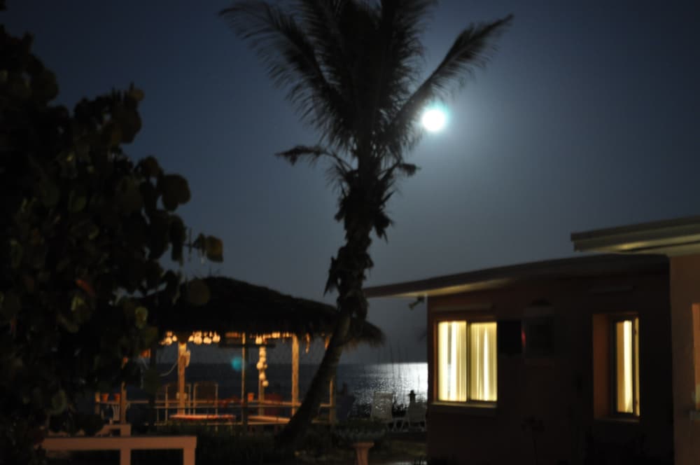 Sea Scape Oceanfront Motel - photo 42