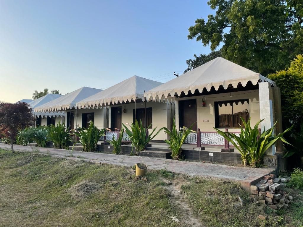 The Venation Camps Resort — Udaipur