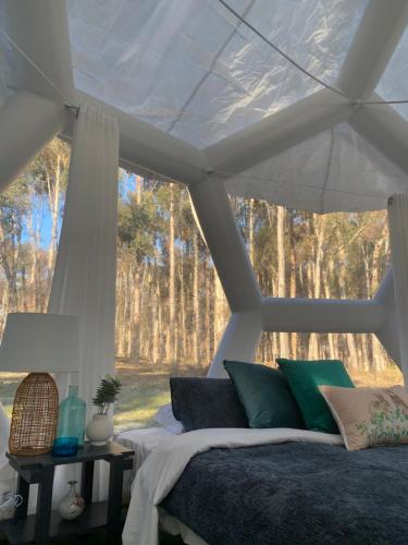 Coonawarra Hampton Bubble 4 - carbon neutral hotel in Unknown City