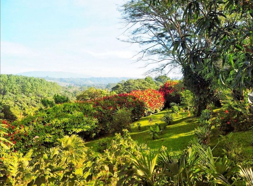 B & B Hotel Vista Linda Montaña — Alajuela — photo 2