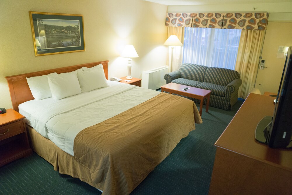 The Lifestyle Inn Lounge & Conference Cedar Falls — Cedar Falls — photo 4