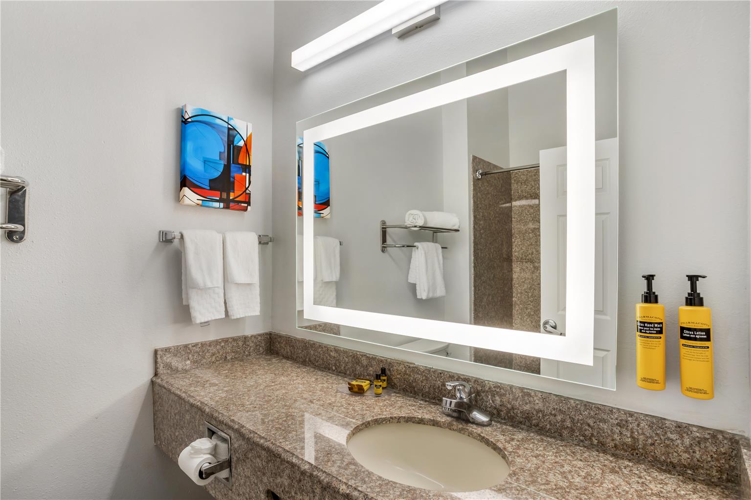 Best Western Plus New Caney Inn & Suites - photo 26