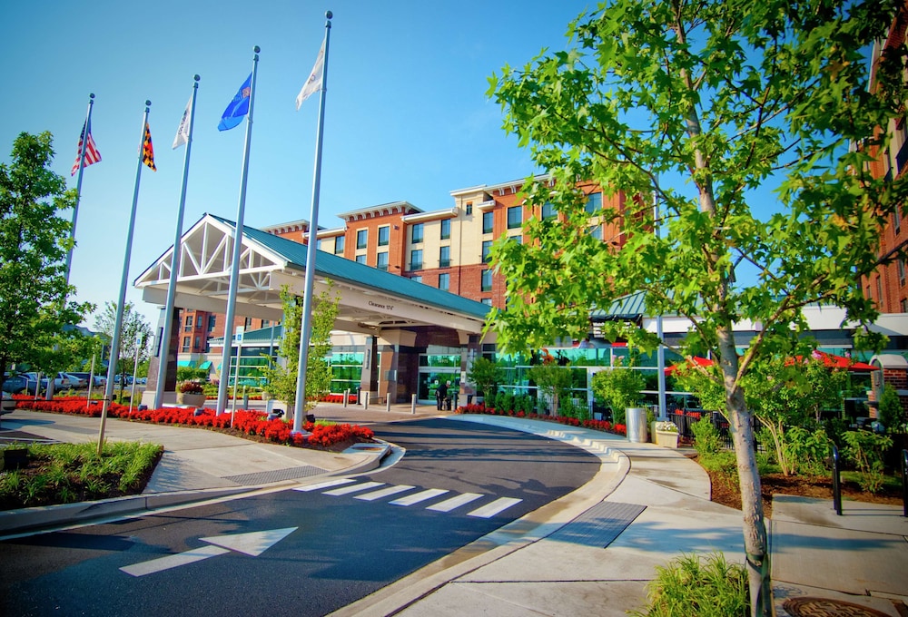 Homewood Suites by Hilton Rockville Gaithersburg - featured photo